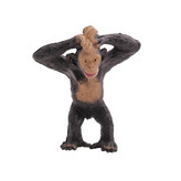 فیگور مدل حیوانات بسته 12 عددی main 1 3